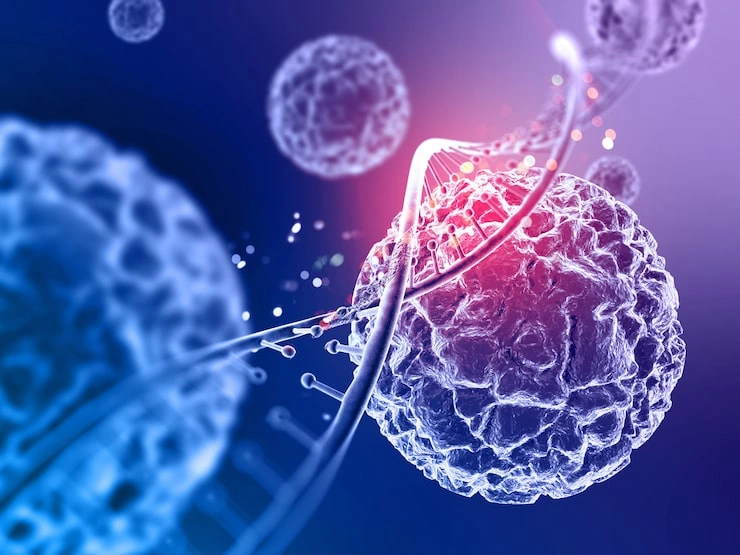 Reset Hormone Optimization